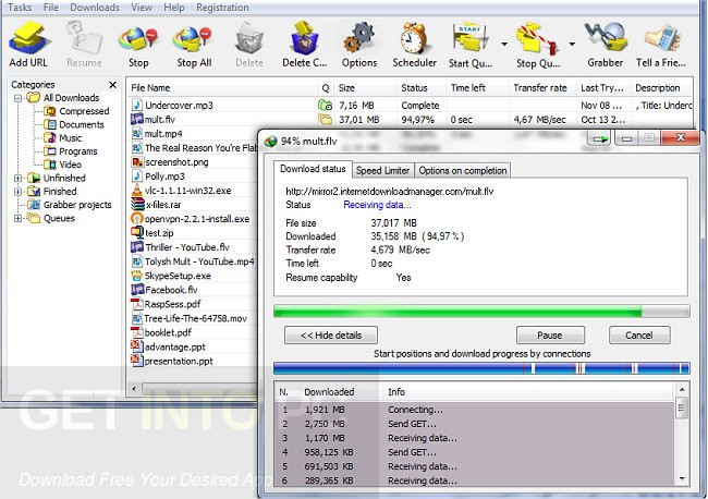 Internet Download Manager IDM 6.42 Screenshot