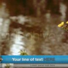 VideoHive – Ribbon Lower third [AEP] Free Download